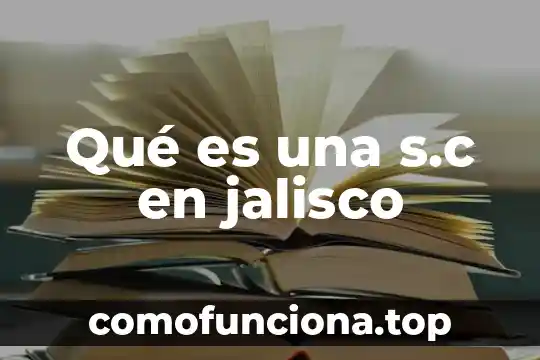 Agenda por jalisco que es 8 Qué es una s.c en jalisco