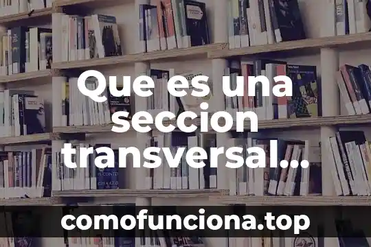 Que es arquitectura popularista 7 Que es una seccion transversal arquitectura