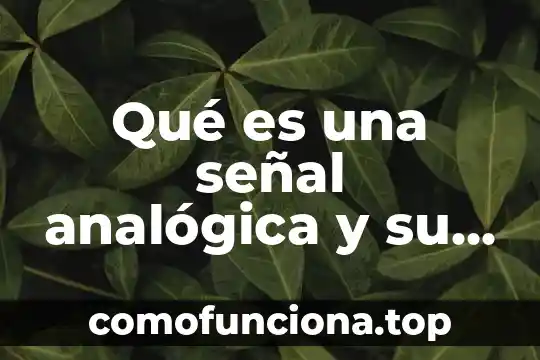 Que es una forma verbal simple 7 Qué es una señal analógica y su forma de dibujarla