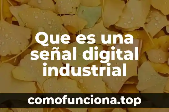 Que es una norma ingenieria en industrial 7 Que es una señal digital industrial