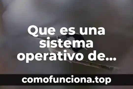 Que es un controlador el sistema operativo 7 Que es una sistema operativo de red