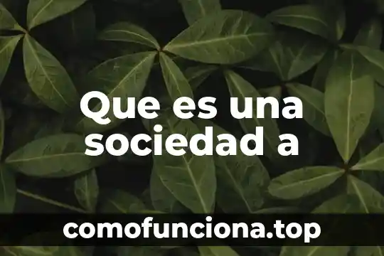 Que es una sociedad informada 8 Que es una sociedad a