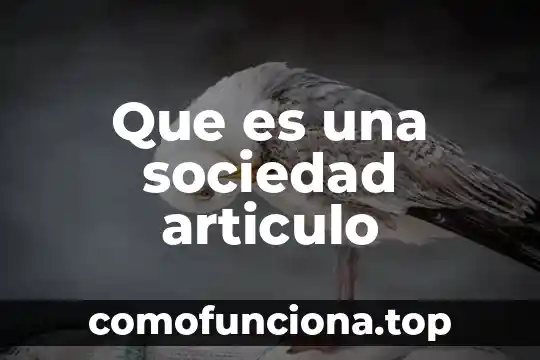 Qué es un artículo de divulgación y son sus características 6 Que es una sociedad articulo