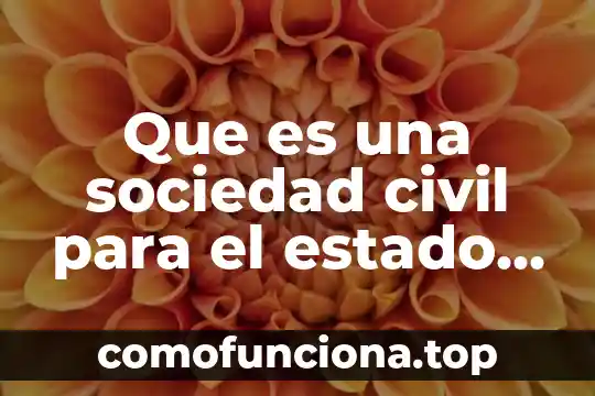 Qué es prevención protección civil 4 Que es una sociedad civil para el estado de puela
