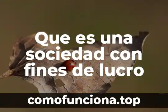 Que es el lucro en la educacion 6 Que es una sociedad con fines de lucro