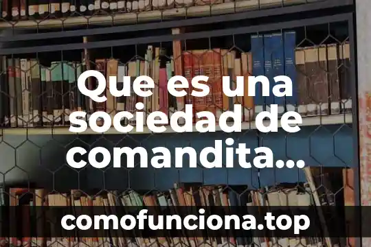 Ejemplos del arte figurado y que es 3 Que es una sociedad de comandita simple ejemplos