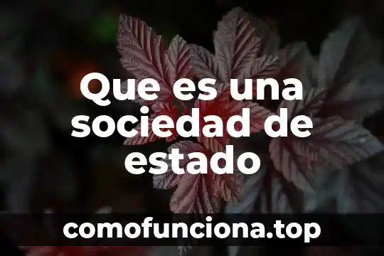 Conferencia sobre qué es la sociedad 3 Que es una sociedad de estado