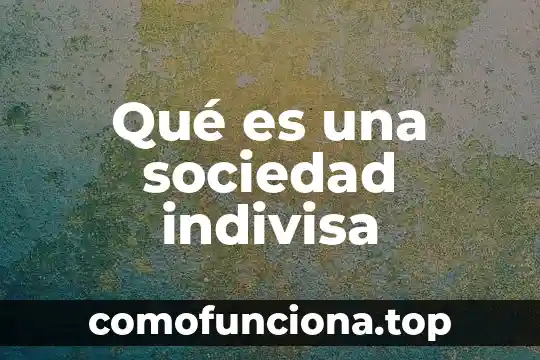 Sociedad pluricultural que es 6 Qué es una sociedad indivisa