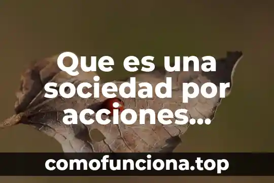Que es una acciones y para que sirve 4 Que es una sociedad por acciones simplificada sas