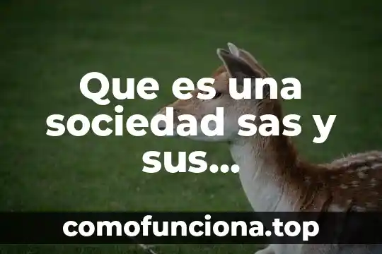 Que es sociedad naturaleza 7 Que es una sociedad sas y sus caracteristicas
