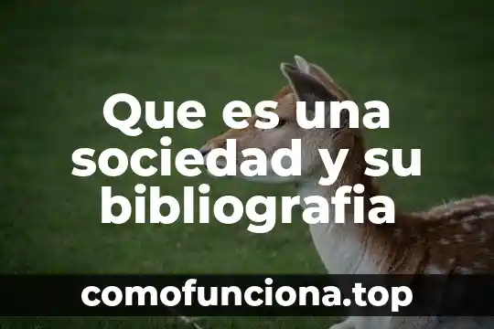 Desconocimiento de una sociedad que es 6 Que es una sociedad y su bibliografia