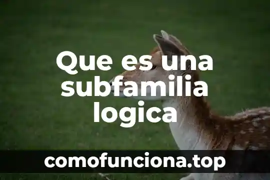 Que es inteligencia lógica 4 Que es una subfamilia logica