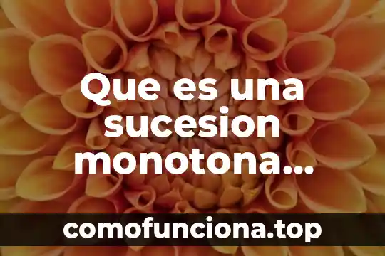 Que es danza ritual ejemplos 7 Que es una sucesion monotona ejemplos