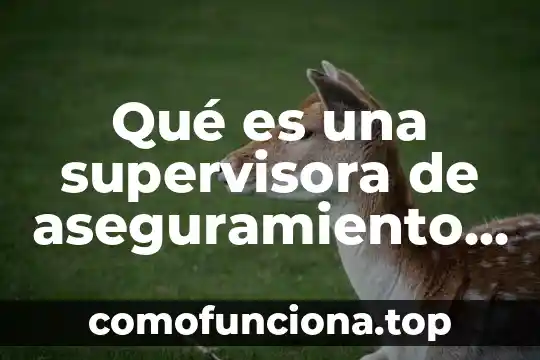 Que es el aseguramiento de la carga incorrecta 3 Qué es una supervisora de aseguramiento de calidad