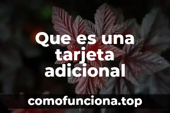 Que es costo adicional 5 Que es una tarjeta adicional