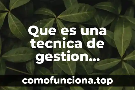 Que es la organizacion mundial de aduana 8 Que es una tecnica de gestion organizacion del trabajo