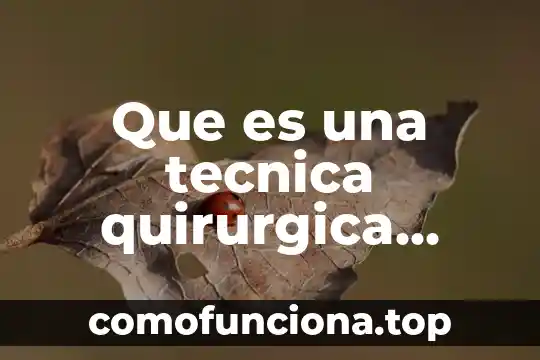 Qué es relaciones internacionales definición 7 Que es una tecnica quirurgica definicion