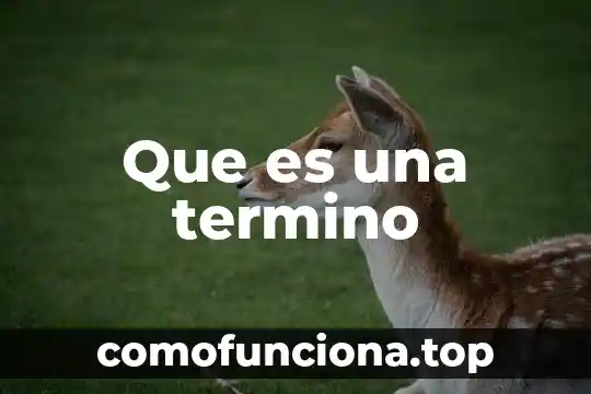 Que es recien nacido de termino 5 Que es una termino