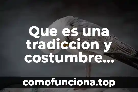 Qué es la costumbre en el derecho romano 8 Que es una tradiccion y costumbre explicada para niños
