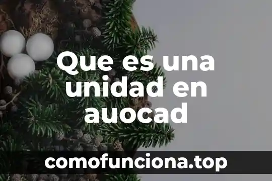 Que es volumen y cual es su unidad de medida 4 Que es una unidad en auocad