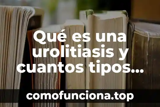 Que es una hoja electronica de calculo y nombres existen 3 Qué es una urolitiasis y cuantos tipos existen
