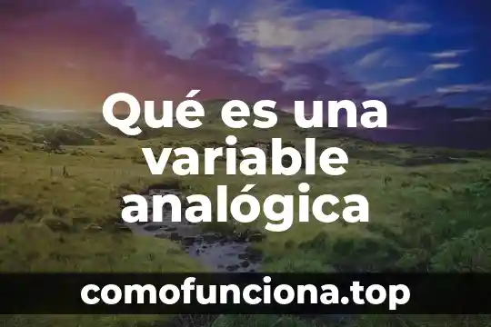 Que es el nombre de una variable 4 Qué es una variable analógica