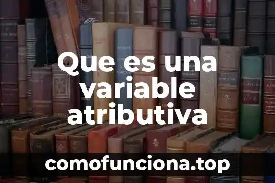 Que es el nombre de una variable 7 Que es una variable atributiva