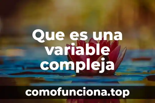 Sociedad compleja que es 6 Que es una variable compleja