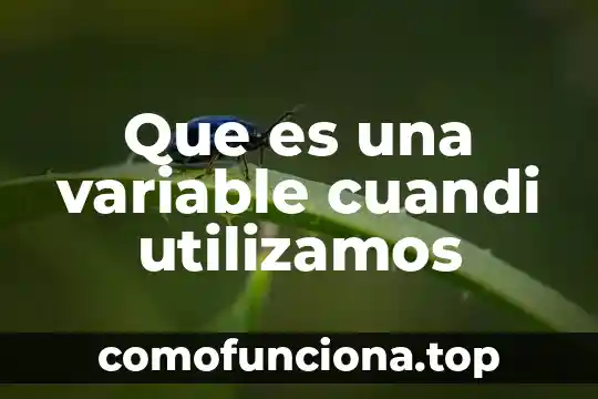 Que es el nombre de una variable 3 Que es una variable cuandi utilizamos