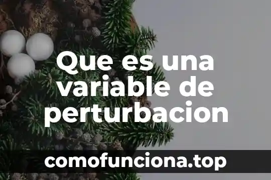 Que es firma en economia 3 Que es una variable de perturbacion