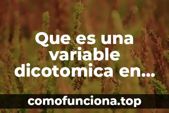 Qué es la combinación de elementos en estadística 3 Que es una variable dicotomica en estadistica