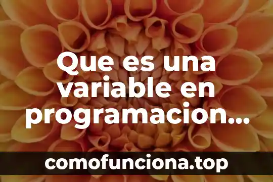 Significado en ingles de que es estimacion en estadistica 8 Que es una variable en programacion caracteristicas