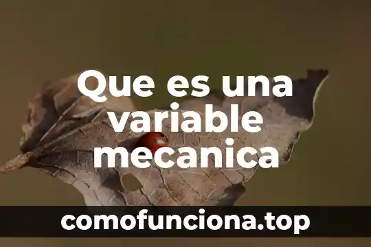 Qué es mangueta en mecánica 3 Que es una variable mecanica