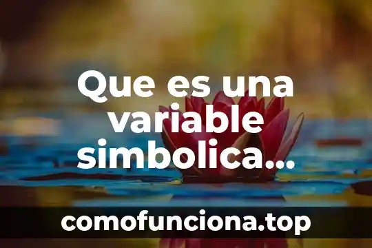 Que significa o que es un multipexados en informatica 4 Que es una variable simbolica informatica