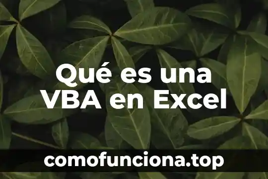 Que es un filtro en tablas excel 8 Qué es una VBA en Excel
