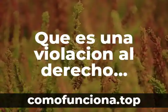 Que es figura juridica en derecho 6 Que es una violacion al derecho internacional