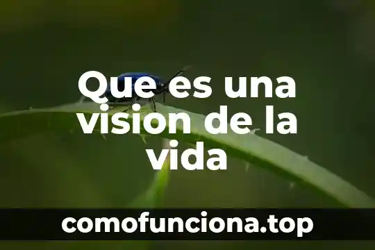 Que es mision vision objetivos diagnostico 4 Que es una vision de la vida