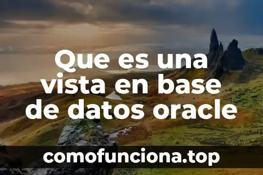 Que es y caracteristicas oracle database 7 Que es una vista en base de datos oracle