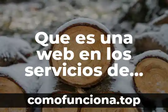 Escudo web antivirus Avast que es 4 Que es una web en los servicios de internet