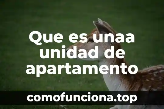 Que es la unidad en composicion arquitectura 5 Que es unaa unidad de apartamento