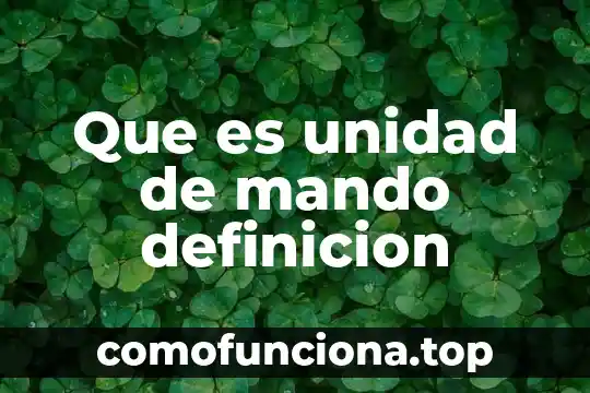Que es la definicion de libertad 6 Que es unidad de mando definicion