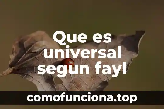 Que es el caracter universal de los derechos humanos 4 Que es universal segun fayl