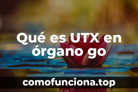 Qué es el órgano definición 5 Qué es UTX en órgano go
