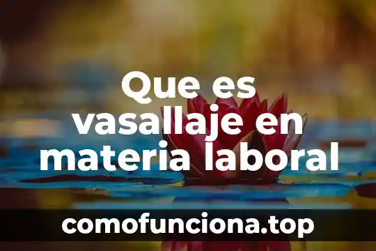 Que es lo fundamnetal en la materia y la conciencia 4 Que es vasallaje en materia laboral