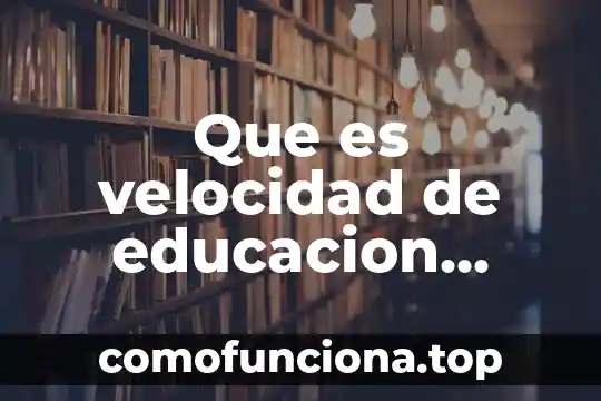 Qué es una red lógica y física 8 Que es velocidad de educacion fisica