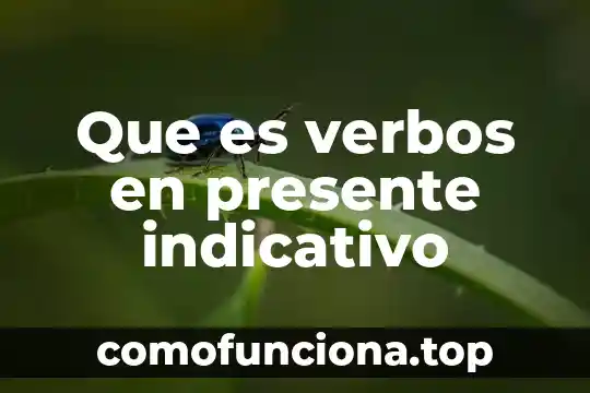 Que es el flujo de efectivo descontado a valor presente 3 Que es verbos en presente indicativo