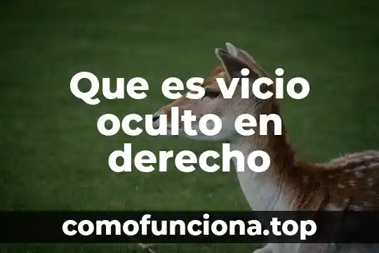 Que es el derecho ala libertad de opinion y expresion 7 Que es vicio oculto en derecho
