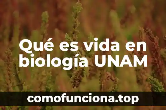 Para que es la hoja de datos estadísticos unam 7 Qué es vida en biología UNAM
