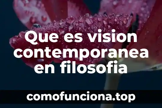 Qué es un accidente en filosofía 7 Que es vision contemporanea en filosofia