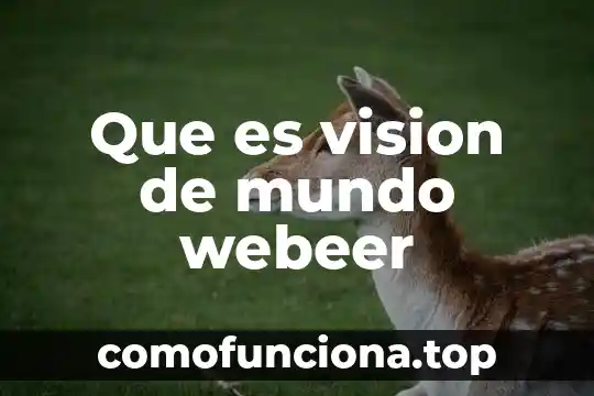 Que es mision vision objetivos diagnostico 7 Que es vision de mundo webeer